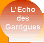 Le trial amateur � l'ancienne en Provence